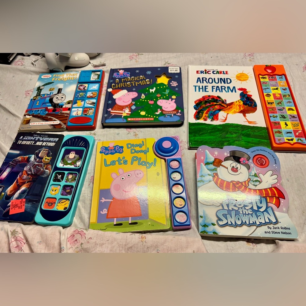 Sound/Interactive Book Lot